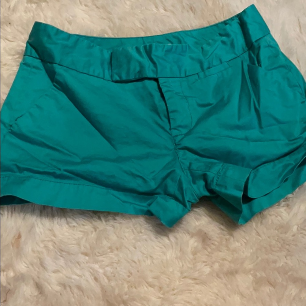 Calvin Klein green/teal shorts